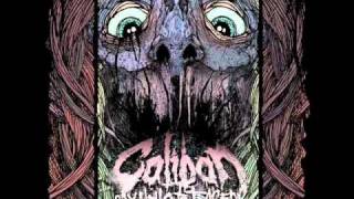 Caliban - 24 Years (+Lyrics)