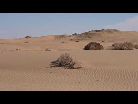 Video Thumbnail: Usbekistans Wüstengeheimnisse: alte Landschaften und lebendige Traditionen