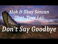 Alok & Ilkay Sencan (feat Tove Lo) - Don't Say Goodbye (lyrics)