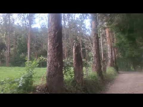 recorrido por las veredas de pacho cundinamarca