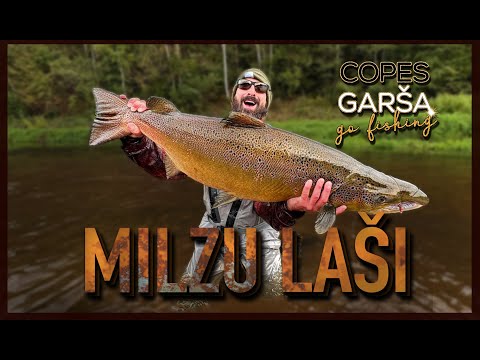 ❤️  COPES GARŠA ❤️   -  🔥KUR MĪT MILZU LAŠI?🔥