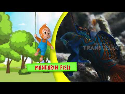 SI OTAN | SI CANTIK LAUT MANISE (13/06/18) 1-3