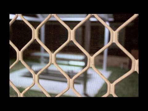 COMU1030 Final Assessment 42875347