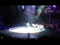 Horses At The Circus