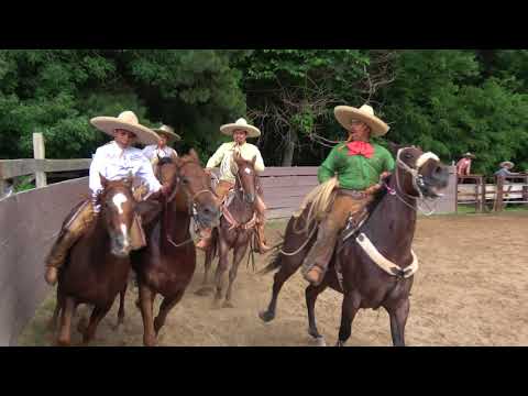 EL PASO DE LA MUERTE