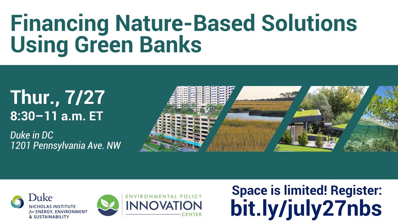 Financing Nature-Based Solutions Using Green Banks