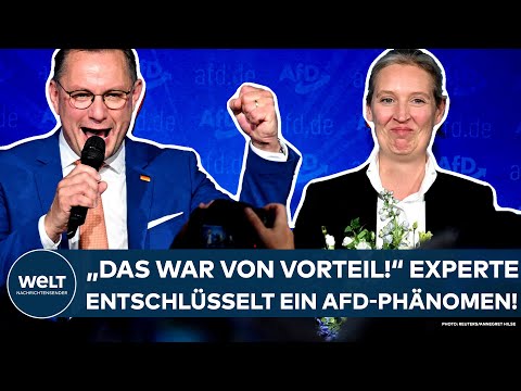 Video Thumbnail: EUROPAWAHL: "Das war von Vorteil!" Experte entschlüsselt das AfD-Phänomen bei den Jungwählern!