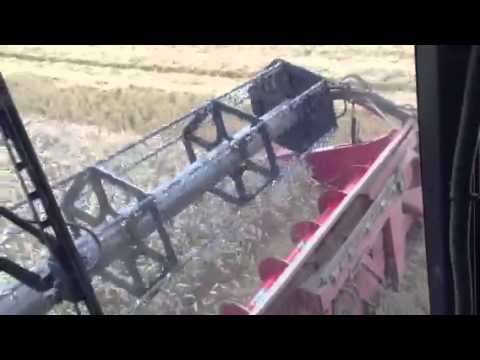 Case Axial Flow 9120 combine cutting wheat.