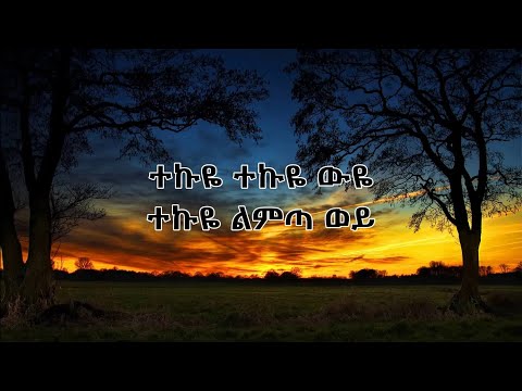 Betty Sher - ተኩዬ (Lyrics) - ቤቲ ሼር - Tekuye - New Ethiopian Music 2023