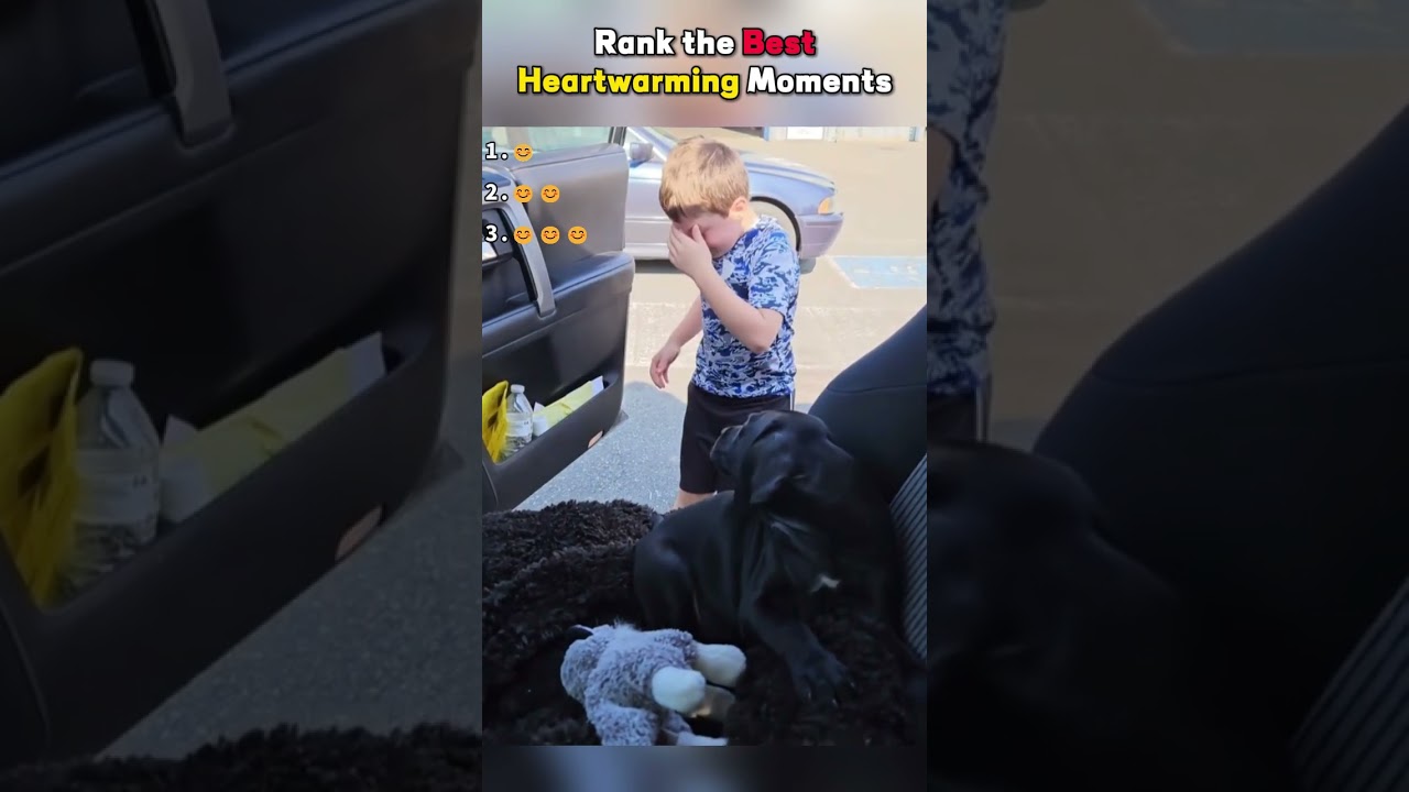 #animals #kindness #love #shorts #fyp #foryou