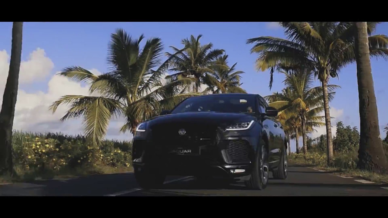 Video Asset Preview
