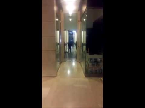 Radarlı Menteşeli Otomatik Kapı