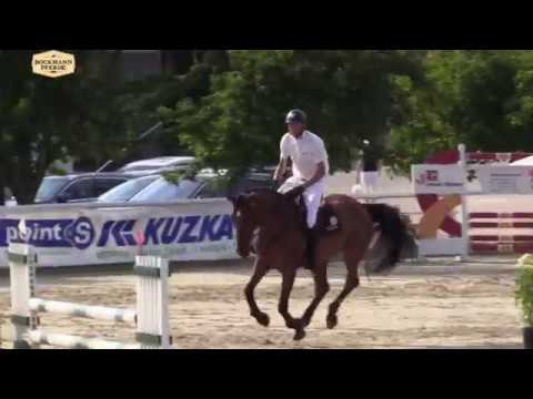 "Stina" - 6 j. Stute v. Stolzenberg x Cassus