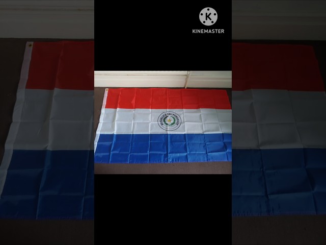 Vídeo relacionado con AZ FLAG Bandera Paraguay 150x90 cm Paraguaya Poliéster Ligero 4 Ojales