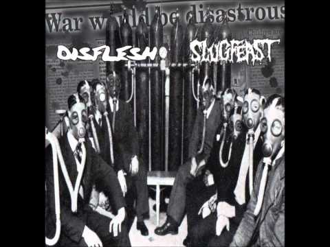 Disflesh - Order vs. Chaos