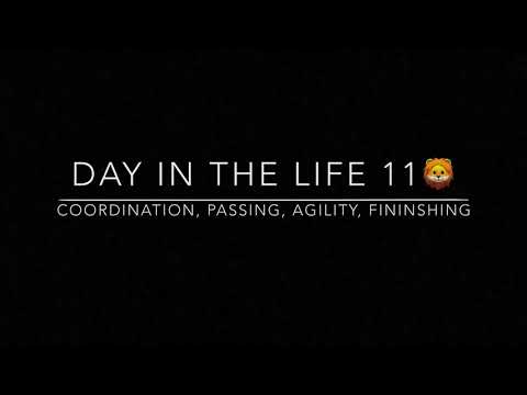 Day in the Life 11 | Coordonation, passing, agility, finishing