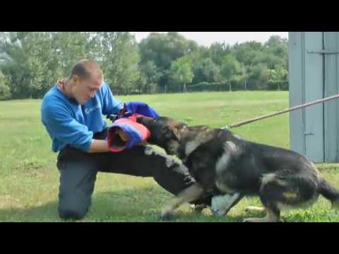 Urri  z Kuřimského háje 1 rok