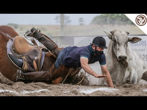 Tarcísio do Acordeon - Volta Meu Amor (Clipe Vaquejada)