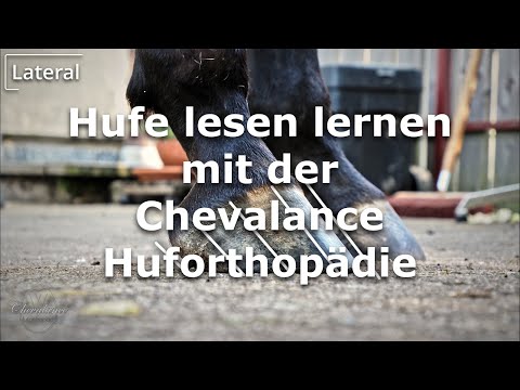 Hufe lesen lernen mit der Chevalance Huforthopädie