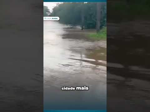 Enchente histórica em Porto Alegre; a maior desde 1941 #canalrural
