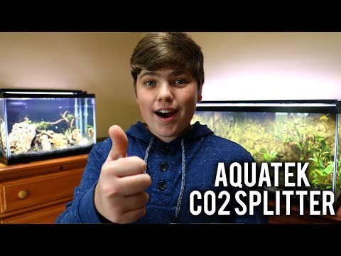 How To Split CO2 Lines (Aquatek 6-Way Splitter)