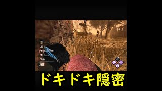 【ショートDbD】ドキドキ隠密 #Shorts