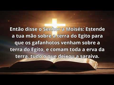 CAPÍTULO BÍBLICO DÍARIO - Êxodo 10:1-29 - ACF