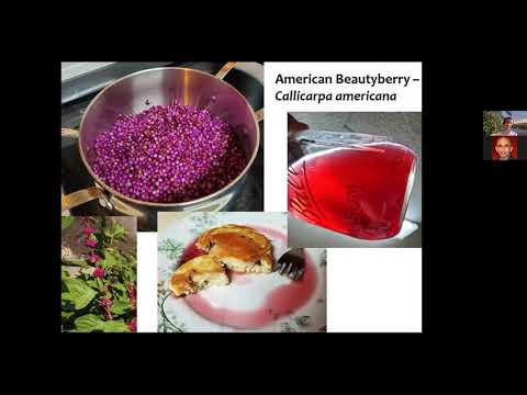 ETFVC S 2021, Stephen Janak, small fruits