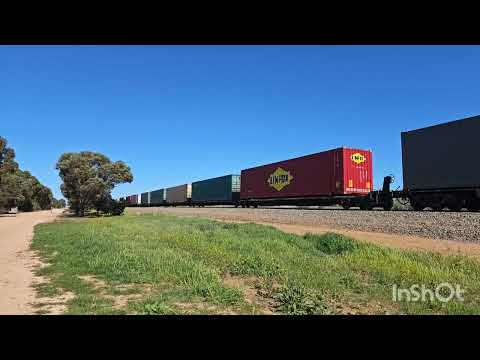 7MP5 pacific national