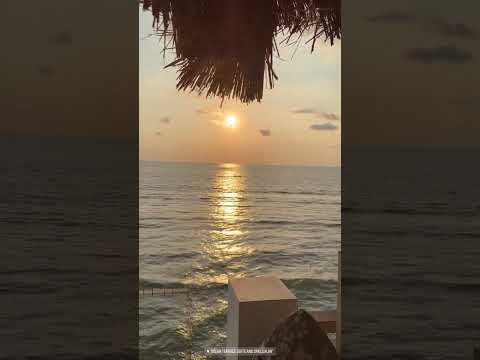Sunrise shot | Ocean terrace Views ⛵ 🦅