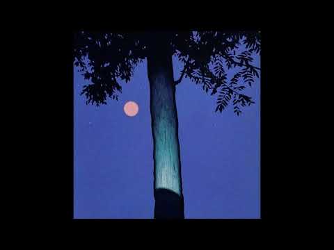 [FREE] Népal x luv resval type beat ~ "Nuit d'opale"