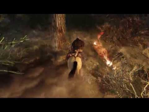 Visit to Falkreath and its cursed Forests in search of a friends Satchel.