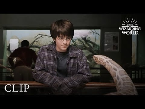 Harry and the Snake