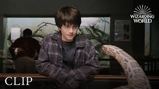 Harry and the Snake  Harry Potter and the Philosop