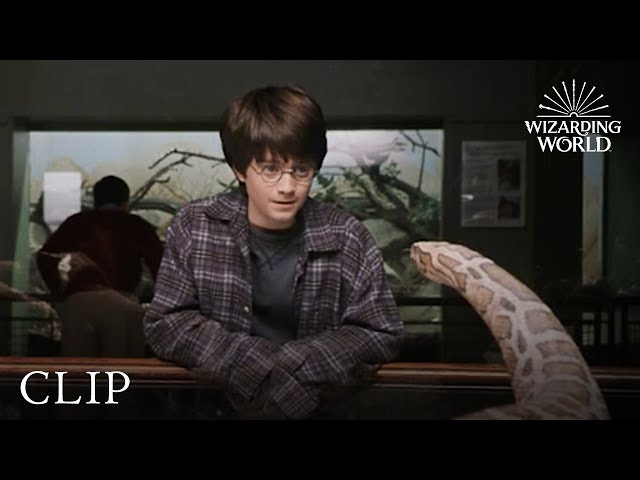 Harry and the Snake