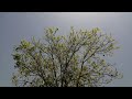 Njan Ninne Kai Vidimo Ennamillathulla Nanmakal Malayalam Christian Songs