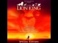 Circle Of Life Lion King W Lyrics