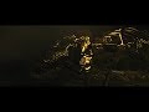 FIIXD - BLESSED (OFFICIAL VISUALIZER)