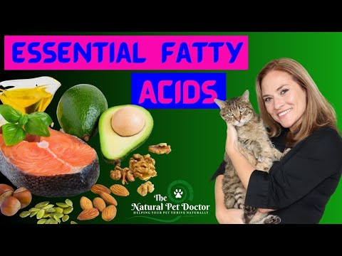 Essential Fatty Acids and Fish Oil for Dogs and Cats