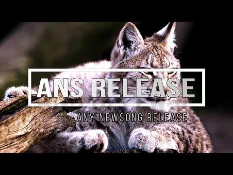 Futuristic Polar Bears & Maddix - Lynx