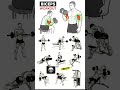 Top Dummbell Biceps Workout Grow Arms Fast Workout Armworkout Bicepsworkout Biceps
