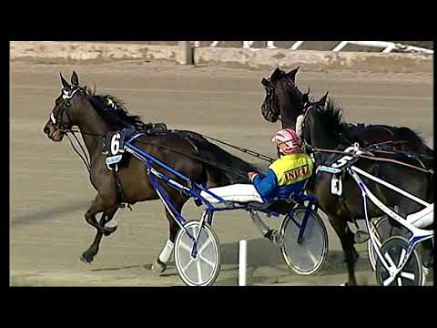 Napoli Trotto 07/03/2021 - 4ª corsa