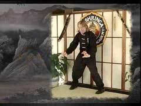 Boost your immune system (The 9 Jins)