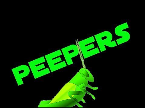 "SLEEP PEEPERS" + BLACK SCREEN = Peeper Nature Sounds or Sleep Sounds