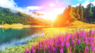 Beautiful Relaxing Music: Music for Stress Relief. Music for Spa, Massage, Meditation