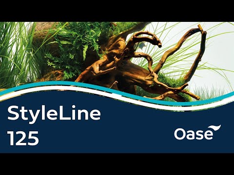 Watch Video on YouTube