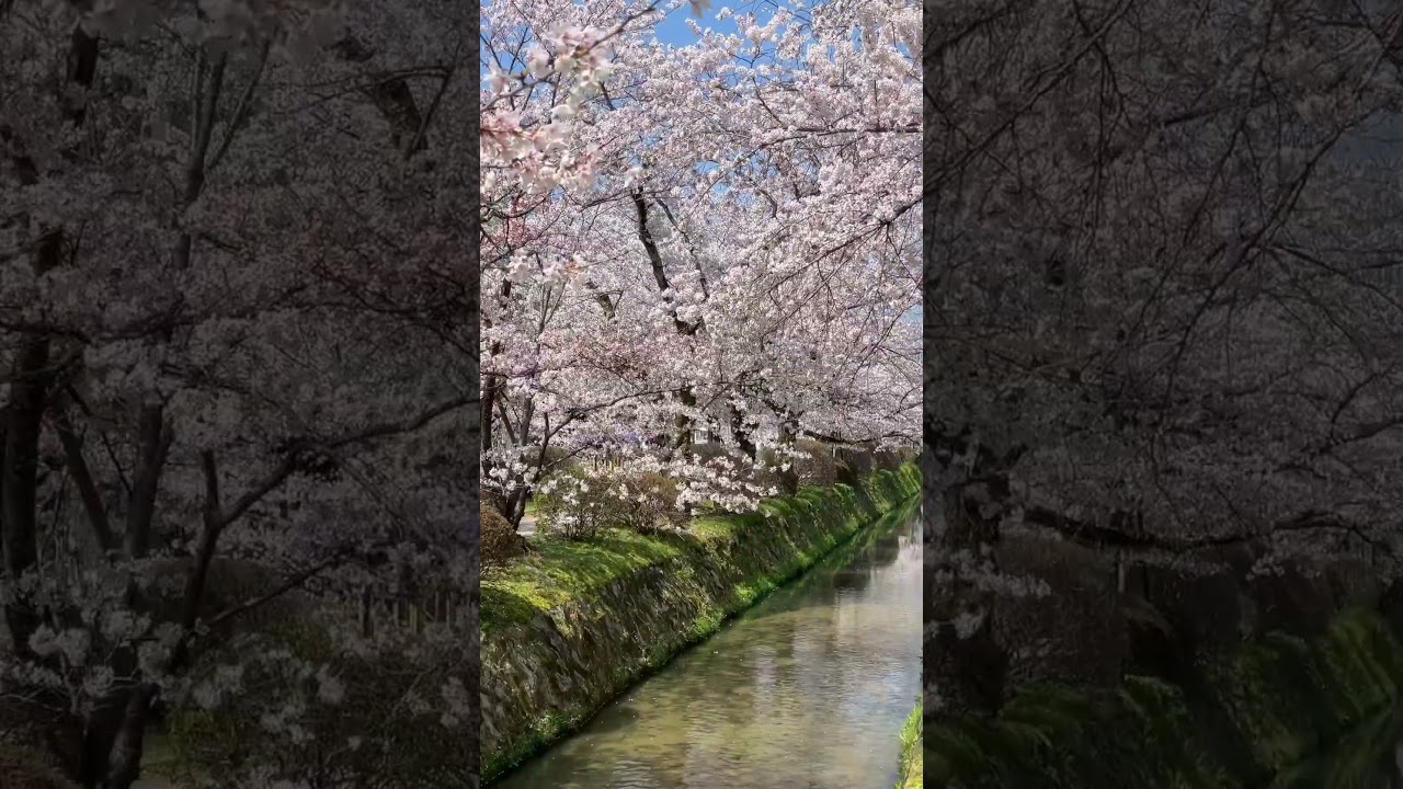 YouTube Short thumbnail