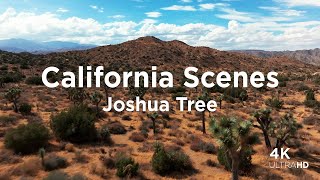 Aerial Views of Joshua Tree, California | Relaxing 4K Drone Video