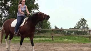 preview picture of video 'horseback riding lesson on Bambi'