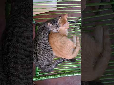 30 de janeiro de 2026